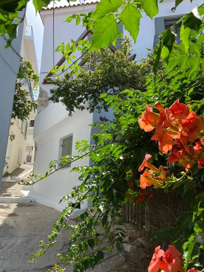 Raphael Skiathos Living-Olga Esterno foto