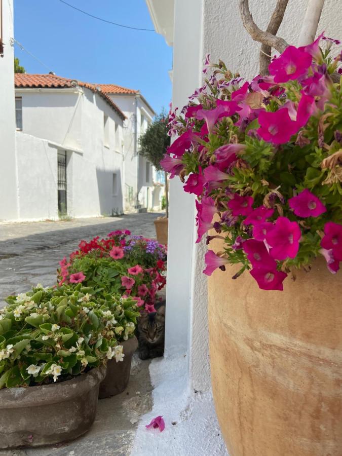 Raphael Skiathos Living-Olga Esterno foto